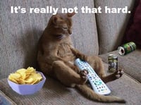 couch potato cat