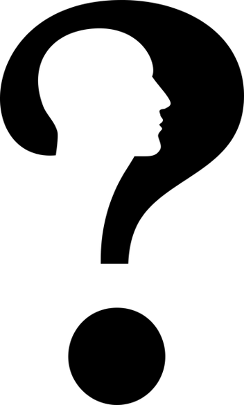 cranium-2028555_640.png